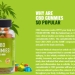 Denver Farms CBD Gummies Easy To Use