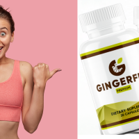 gingerfit Bewertung