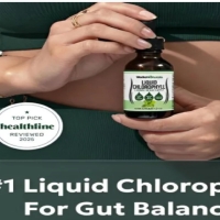 WellaNaturals Chlorophyll Drops