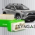 Syngas Stecker