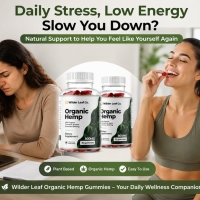 wilderleafcost