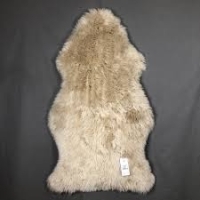 Sheepskin store					