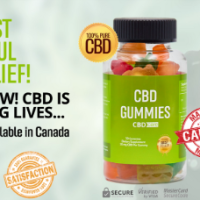 Ever Gummies
