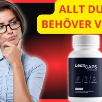 Denni saustinfr
