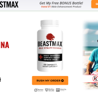 Beasst Max