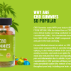 Laguna Farms CBD Gummies