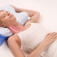 DerilaErgoPillowuk